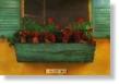 Window Box